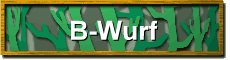 B-Wurf