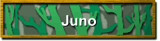Juno