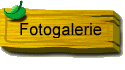 Fotogalerie